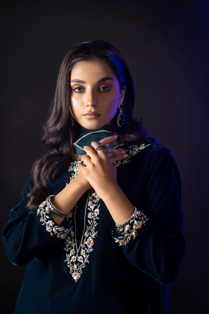 7002 Embroidered Velvet Dress with Karandi Shawl