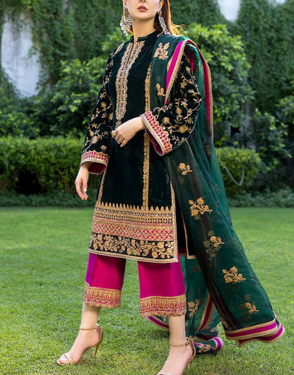 736 Embroidered Velvet Dress
